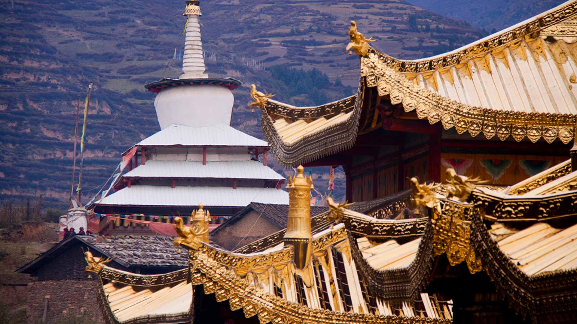 A Day Hike to Shangniba Monastery
