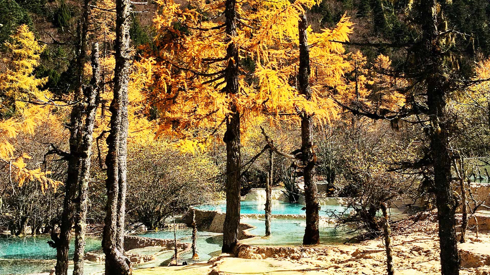 Huanglong National Park
