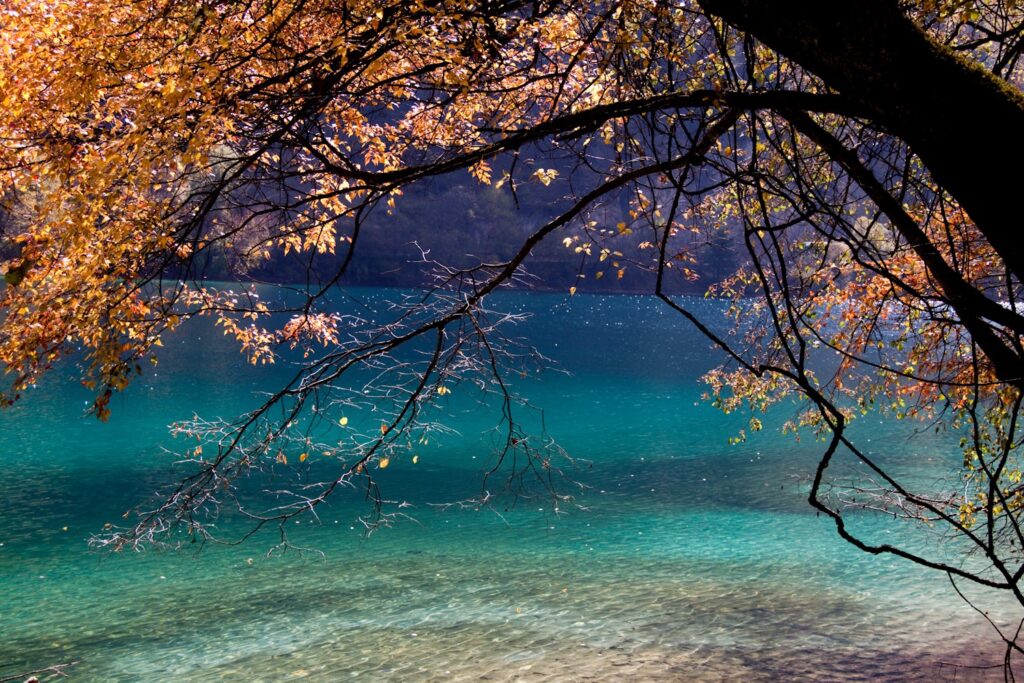 jiuzhaigou