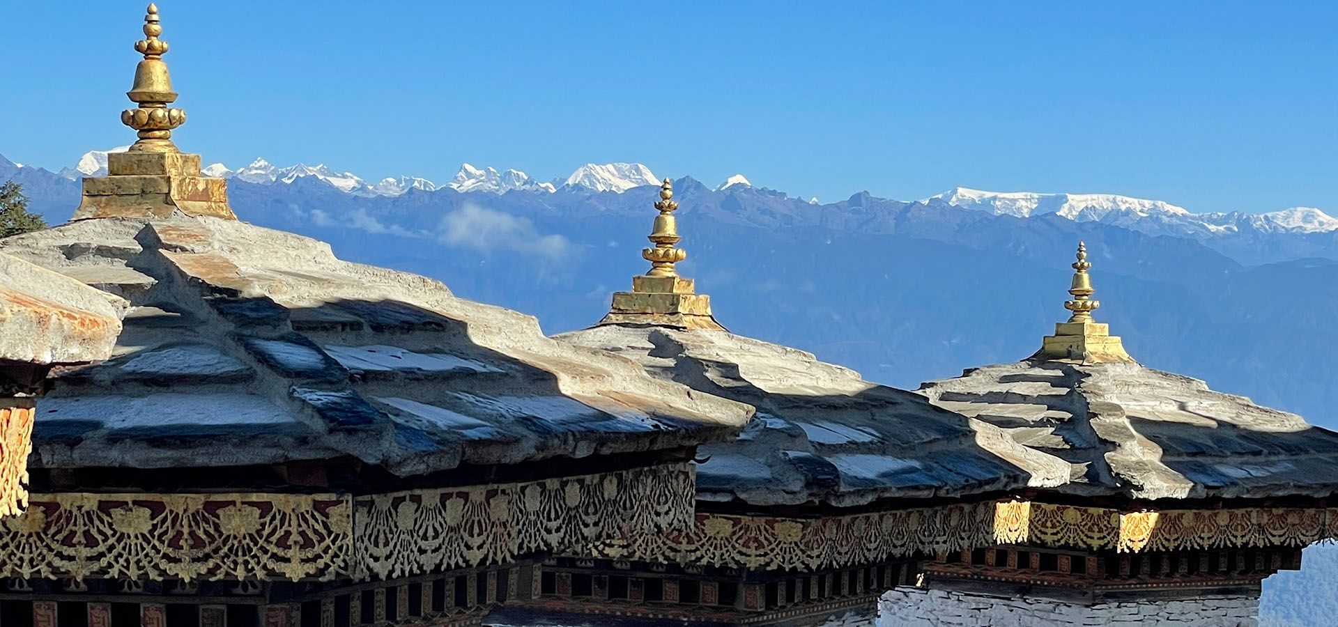 Bhutan — field photo 4