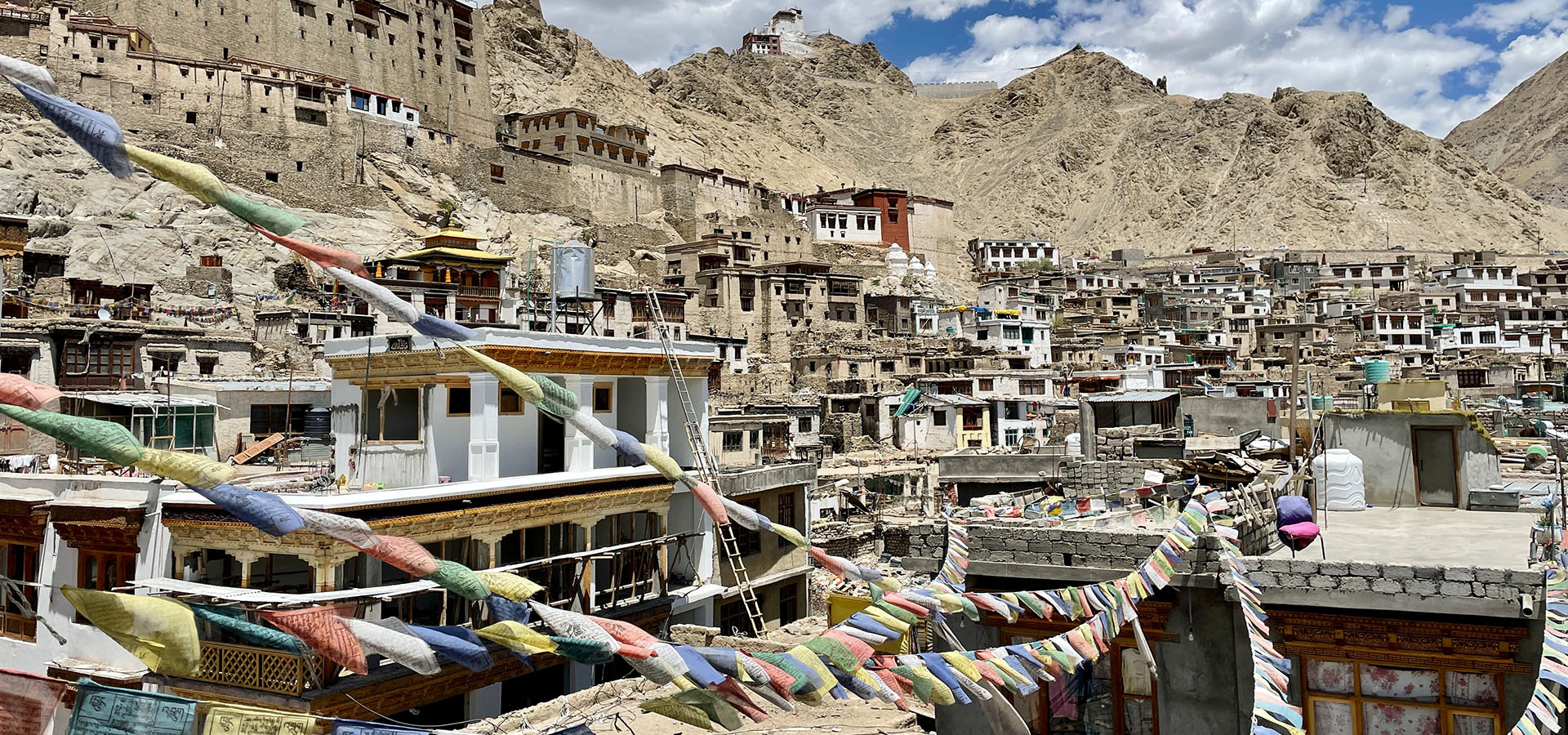 Ladakh & Zanskar — field photo 4