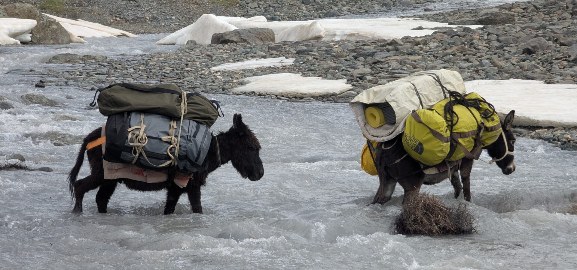 Ladakh & Zanskar — field photo 7