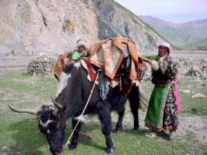 pilgrimage tibetan people