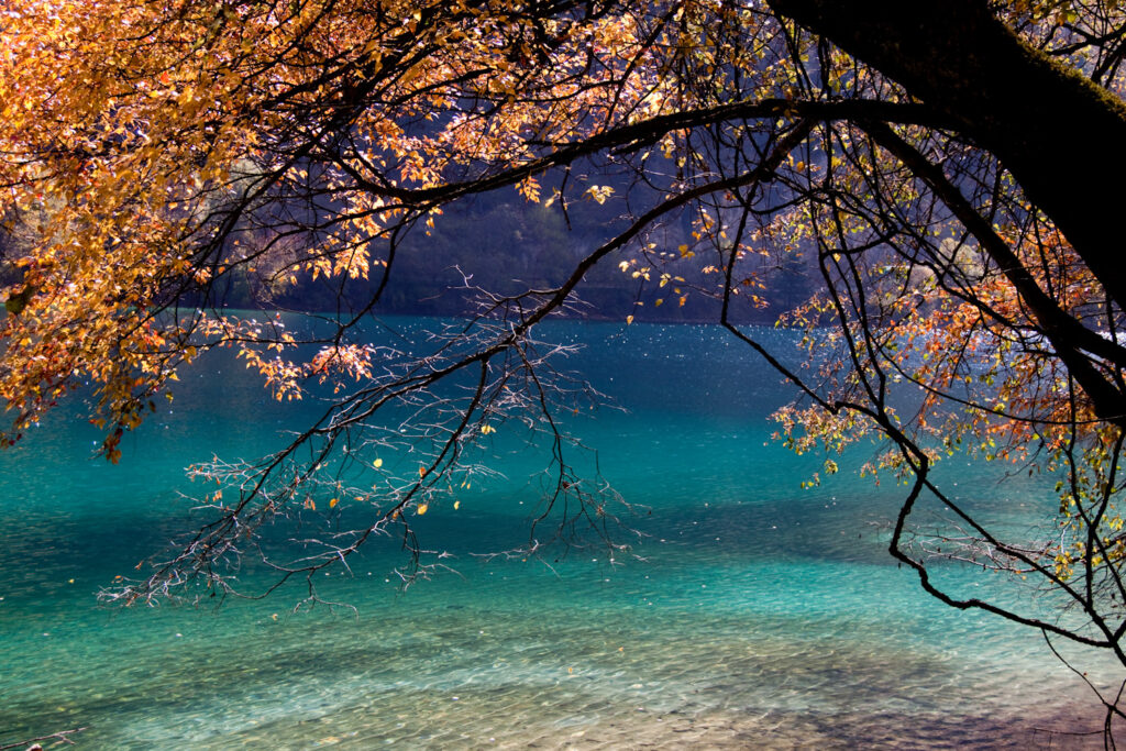 adventure access Jiuzhaigou lagoon