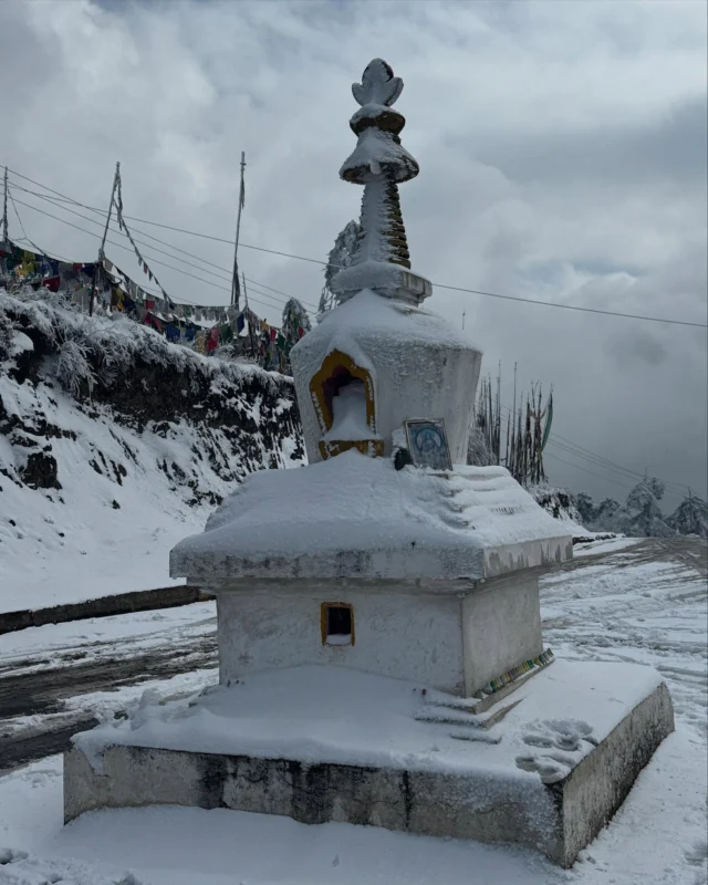 All in a days work! These two locations were encountered in one day in Central Bhutan. The drastic elevation difference as you travel north to south in Bhutan create differences that seem like separate worlds. But the people, their gentleness, and their hospitality are consistent throughout! #bhutan #bumthang #gelephu #adventuretravel #himalayas